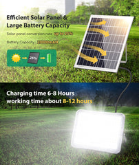 Solar Tuinverlichting - Buitenverlichting - Zonneenergie - Aigostar
