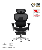 FLEXISPOT Ergonomische Stoel met Dynamisch Rugsysteem (C7 Morpher MESH)