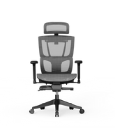 Ergonomische Bureaustoel - Office Chair - Gamestoel - Volwassenen - Grijs - C7G-AIR - FLEXISPOT