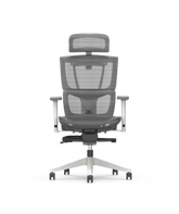 Ergonomische Bureaustoel - Office Chair - Gamestoel - Volwassenen - Grijs - C7WG Air - FLEXISPOT