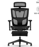FLEXISPOT Multiverstelbare Ergonomische Stoel met Gesplitste Lumbale Ondersteuning (C7)