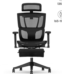 FLEXISPOT Multiverstelbare Ergonomische Stoel met Gesplitste Lumbale Ondersteuning (C7)