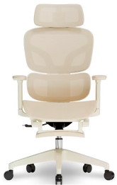 Ergonomische Bureaustoel - Office Chair - Gamestoel - Volwassenen - Beige - BS5W MESH - FLEXISPOT