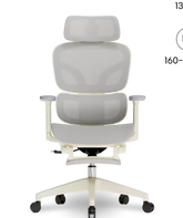 FLEXISPOT Ergonomische Mesh-bureaustoel, met uittrekbare voetensteun (BS5)