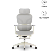 FLEXISPOT Ergonomische Mesh-bureaustoel - met uittrekbaar voetensteun - BS5WG