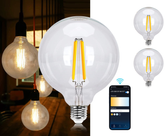 E27 LED lamp - Dimbaar - Filament lamp - 6W - 2 stuks - Aigostar