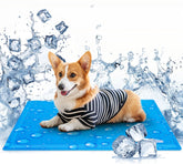 Nobleza Koelmat voor honden en katten - 50x65cm - Blauw