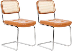 Eetkamerstoelen - Set van 2 - Metaal / Rotan - Bruin