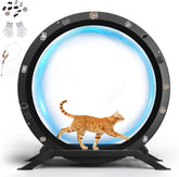 GTPLAYER Kattenloopfiets, loopfiets voor katten, extra groot 100 cm, ultralichte loopfiets met afneembaar tapijt en speelgoed, stickers, vergrendeling, geschikt voor de meeste katten, metaal