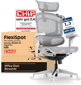 FLEXISPOT Ergonomische bureaustoel ErgoX Pro-Mesh grijs, Met 12-traps hoogteverstelling, met 7D-armleuningen, 5D-lendensteun, 4D-hoofdsteun, 250 kg belastbaarheid