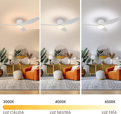 Plafondventilator met LED-lamp 24W, plafondventilatorlamp 132cm, met afstandsbediening, stille DC-motor, timer, 3 bladen