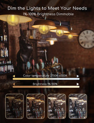 E27 LED lamp - Dimbaar - Filament lamp - 6W - 2 stuks - Aigostar