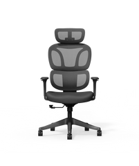Ergonomische Bureaustoel - Office Chair - Gamestoel - Volwassenen - Zwart - BS5 - FLEXISPOT