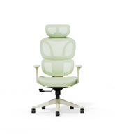 Ergonomische Bureaustoel - Office Chair - Gamestoel - Volwassenen - Licht groen - BS5 - FLEXISPOT
