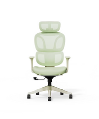 Ergonomische Bureaustoel - Office Chair - Gamestoel - Volwassenen - Licht groen - BS5 - FLEXISPOT