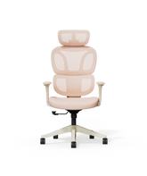 Ergonomische Bureaustoel - Office Chair - Gamestoel - Volwassenen - Roze - BS5P - FLEXISPOT