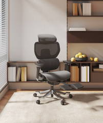 FLEXISPOT Ergonomische Stoel met Dynamisch Rugsysteem (C7 Morpher MESH)