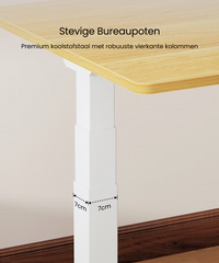 Zit sta bureau - Elektrisch - Verstelbaar - Bureauframe - E7W - FLEXISPOT