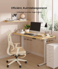 Zit sta bureau - Elektrisch - Verstelbaar - Bureauframe - E1B-PRO - FLEXISPOT
