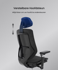 Ergonomische Bureaustoel - Office Chair - Gamestoel - Volwassenen - Zwart - BS12 Pro - FLEXISPOT
