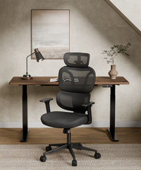 Ergonomische Bureaustoel - Office Chair - Gamestoel - Volwassenen - Zwart - BS5 - FLEXISPOT