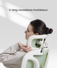 Ergonomische Bureaustoel - Office Chair - Gamestoel - Volwassenen - Licht groen - BS5 - FLEXISPOT