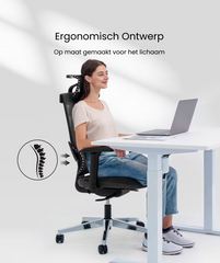 Ergonomische Bureaustoel - Office Chair - Gamestoel - Volwassenen - Zwart - BS6B - FLEXISPOT