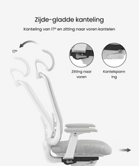 Ergonomische Bureaustoel - Office Chair - Gamestoel - Volwassenen - Wit - BS13W - FLEXISPOT