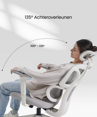 Ergonomische Bureaustoel - Office Chair - Gamestoel - Volwassenen - Lichtgrijs - BS5 - FLEXISPOT