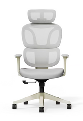Ergonomische Bureaustoel - Office Chair - Gamestoel - Volwassenen - Lichtgrijs - BS5 - FLEXISPOT