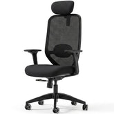 FLEXISPOT Ergonomische bureaustoel C5B-F1-HD, 4D-armleuningen, zwart