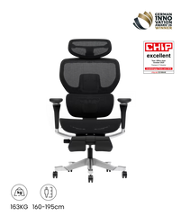 FLEXISPOT Ergonomische Stoel met Dynamisch Rugsysteem (C7 Morpher MESH)