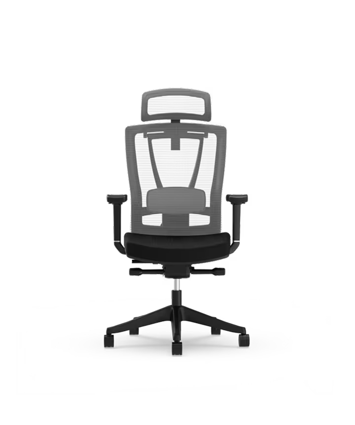 Ergonomische Bureaustoel -  Office Chair - Gamestoel - Volwassenen - Zwart - BS14B - FLEXISPOT