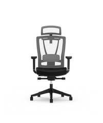 Ergonomische Bureaustoel -  Office Chair - Gamestoel - Volwassenen - Zwart - BS14B - FLEXISPOT