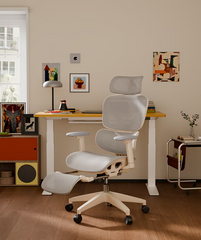 FLEXISPOT Ergonomische Mesh-bureaustoel, met uittrekbare voetensteun (BS5)