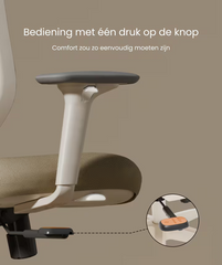 FLEXISPOT Ergonomische Bureaustoel met Eenvoudige Bediening en Zacht Hoofdsteun (C5W)
