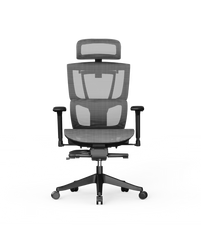 Ergonomische Bureaustoel -  Office Chair - Gamestoel - Volwassenen - Grijs - C7G-AIR - FLEXISPOT