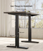 Zit sta bureau - Elektrisch - Verstelbaar - Bureauframe - Zwart - E9B - FLEXISPOT