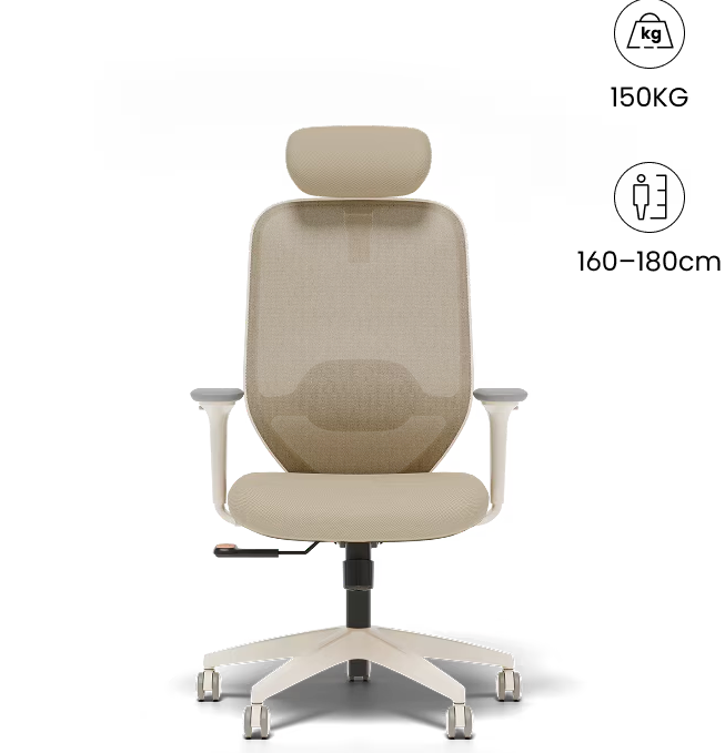 FLEXISPOT Ergonomische Bureaustoel met Eenvoudige Bediening en Zacht Hoofdsteun (C5W)
