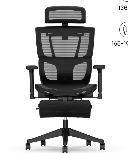 FLEXISPOT Multiverstelbare Ergonomische Stoel met Gesplitste Lumbale Ondersteuning (C7)