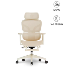 FLEXISPOT Ergonomische Mesh-bureaustoel, Abrikoos Kleuren (BS5W)