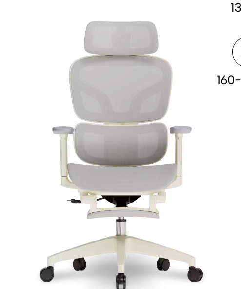 FLEXISPOT Ergonomische Mesh-bureaustoel, met uittrekbare voetensteun (BS5)