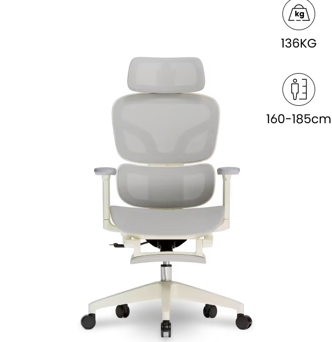 FLEXISPOT Ergonomische Mesh-bureaustoel - met uittrekbaar voetensteun - BS5WG