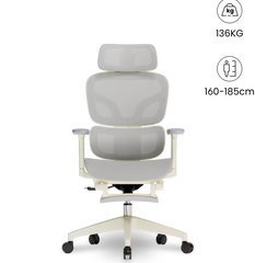FLEXISPOT Ergonomische Mesh-bureaustoel - met uittrekbaar voetensteun - BS5WG
