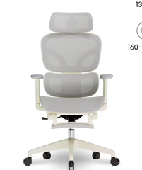 FLEXISPOT Ergonomische Mesh-bureaustoel, met uittrekbare voetensteun (BS5)
