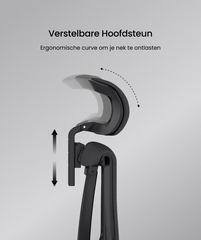 FLEXISPOT Multiverstelbare Ergonomische Stoel met Gesplitste Lumbale Ondersteuning (C7)