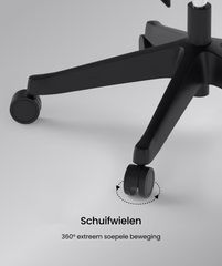 FLEXISPOT Multiverstelbare Ergonomische Stoel met Gesplitste Lumbale Ondersteuning (C7)