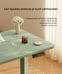Zit sta bureau - Elektrisch - Verstelbaar - Bureauframe - Mintgroen - E1-PRO - FLEXISPOT