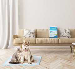 50 Puppy training Pads - 60x40cm - Zindelijkheidstraining