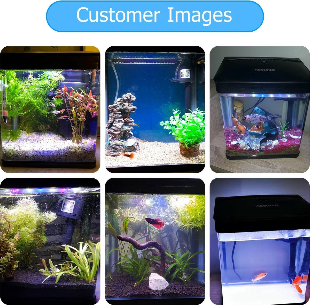 Aquarium Kit - 29x20x33 cm - 14L - Zwart - Nobleza
